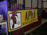 Hoosier Horse Fair 2008.