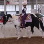 That is Max and I at the Hoosier Horse Fair. I bathed him with Horse Poo Whitening Shampoo.