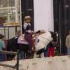 04-05-08. This is me riding Max at the Hoosier Horse Fair Expo. Max's first time out.